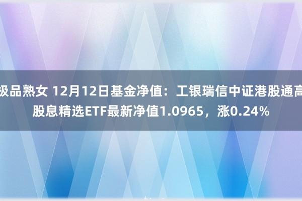 极品熟女 12月12日基金净值：工银瑞信中证港股通高股息精选ETF最新净值1.0965，涨0.24%