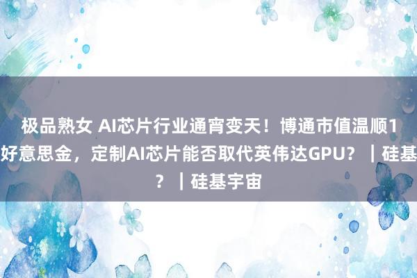 极品熟女 AI芯片行业通宵变天！博通市值温顺1万亿好意思金，定制AI芯片能否取代英伟达GPU？｜硅基宇宙