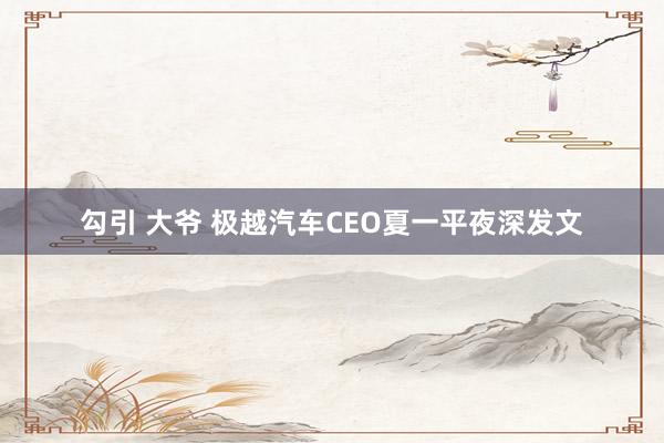 勾引 大爷 极越汽车CEO夏一平夜深发文