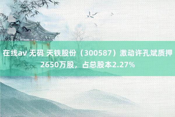 在线av 无码 天铁股份（300587）激动许孔斌质押2650万股，占总股本2.27%