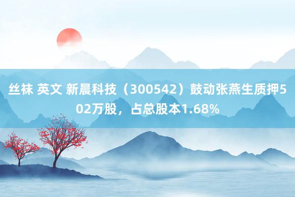 丝袜 英文 新晨科技（300542）鼓动张燕生质押502万股，占总股本1.68%