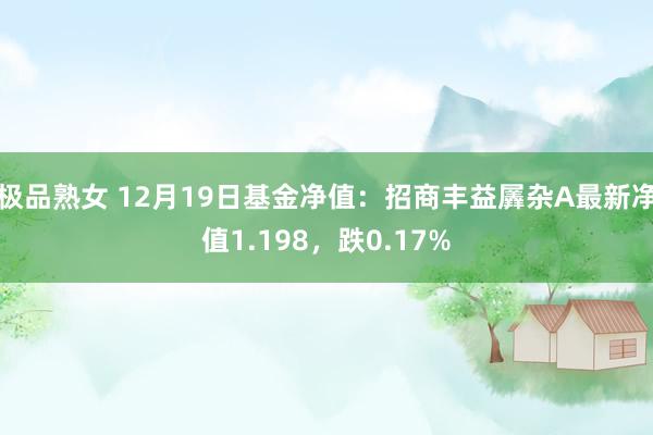 极品熟女 12月19日基金净值：招商丰益羼杂A最新净值1.198，跌0.17%