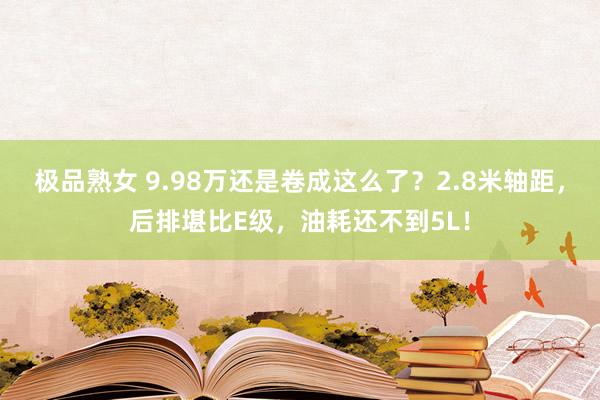 极品熟女 9.98万还是卷成这么了？2.8米轴距，后排堪比E级，油耗还不到5L！