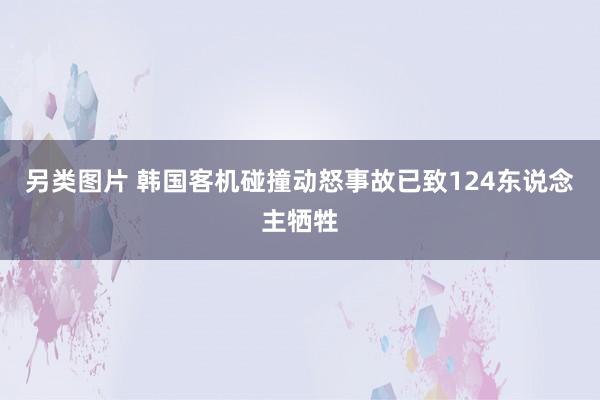 另类图片 韩国客机碰撞动怒事故已致124东说念主牺牲