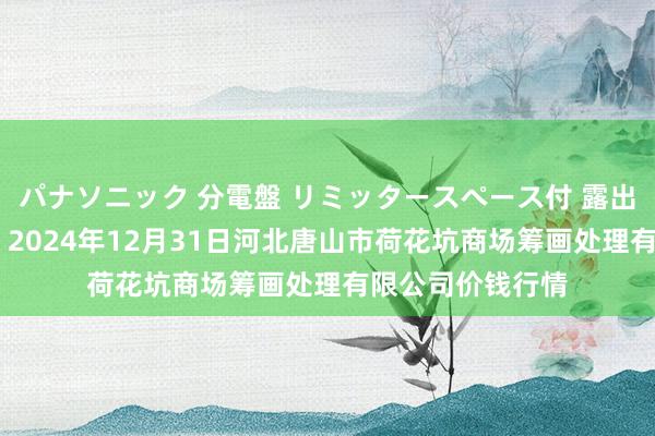 パナソニック 分電盤 リミッタースペース付 露出・半埋込両用形 2024年12月31日河北唐山市荷花坑商场筹画处理有限公司价钱行情