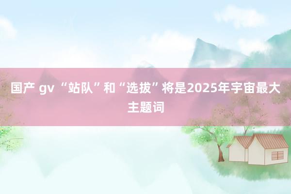 国产 gv “站队”和“选拔”将是2025年宇宙最大主题词