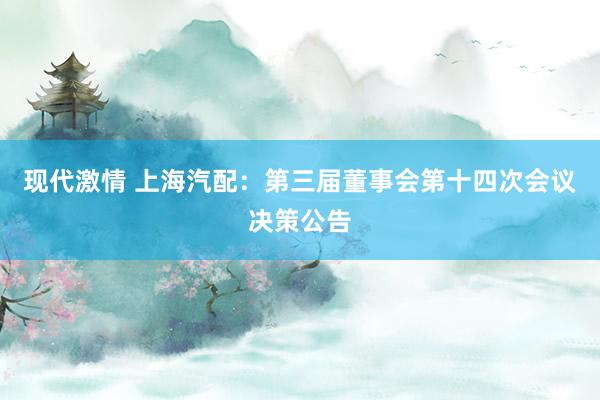 现代激情 上海汽配：第三届董事会第十四次会议决策公告