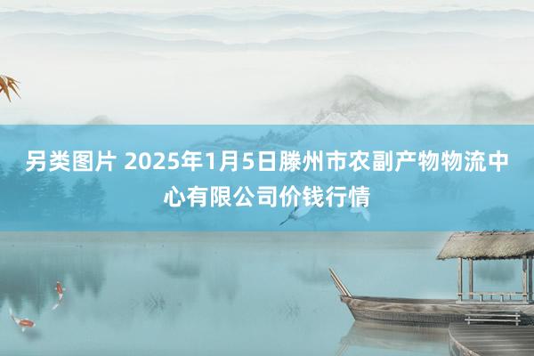 另类图片 2025年1月5日滕州市农副产物物流中心有限公司价钱行情