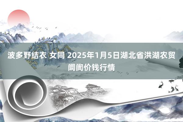 波多野结衣 女同 2025年1月5日湖北省洪湖农贸阛阓价钱行情