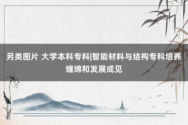 另类图片 大学本科专科|智能材料与结构专科培养缠绵和发展成见