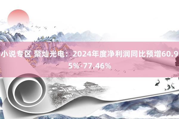 小说专区 聚灿光电：2024年度净利润同比预增60.95%-77.46%