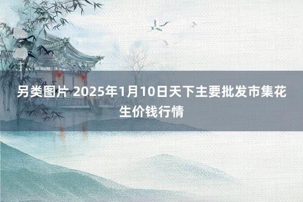 另类图片 2025年1月10日天下主要批发市集花生价钱行情