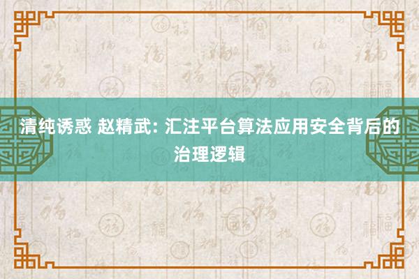 清纯诱惑 赵精武: 汇注平台算法应用安全背后的治理逻辑