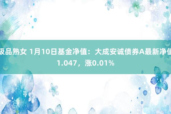 极品熟女 1月10日基金净值：大成安诚债券A最新净值1.047，涨0.01%