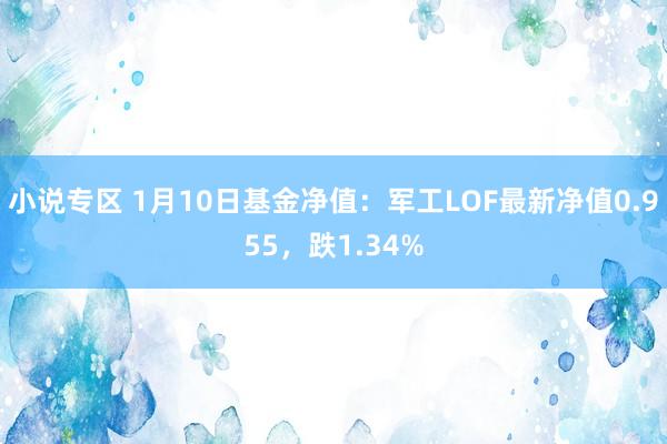 小说专区 1月10日基金净值：军工LOF最新净值0.955，跌1.34%