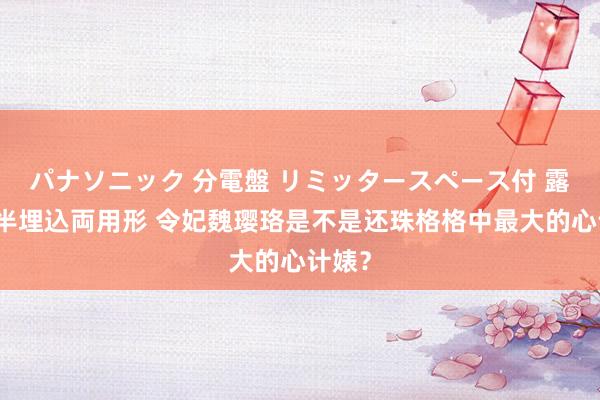 パナソニック 分電盤 リミッタースペース付 露出・半埋込両用形 令妃魏璎珞是不是还珠格格中最大的心计婊？