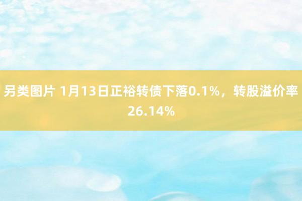 另类图片 1月13日正裕转债下落0.1%，转股溢价率26.14%