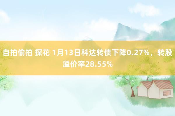 自拍偷拍 探花 1月13日科达转债下降0.27%，转股溢价率28.55%