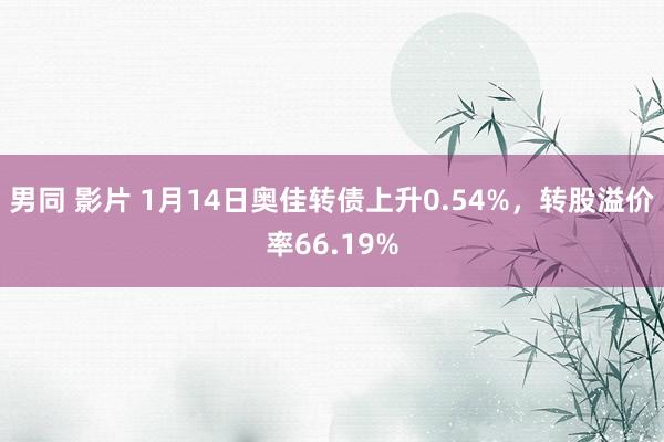 男同 影片 1月14日奥佳转债上升0.54%，转股溢价率66.19%