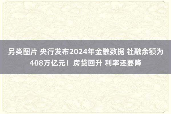 另类图片 央行发布2024年金融数据 社融余额为408万亿元！房贷回升 利率还要降