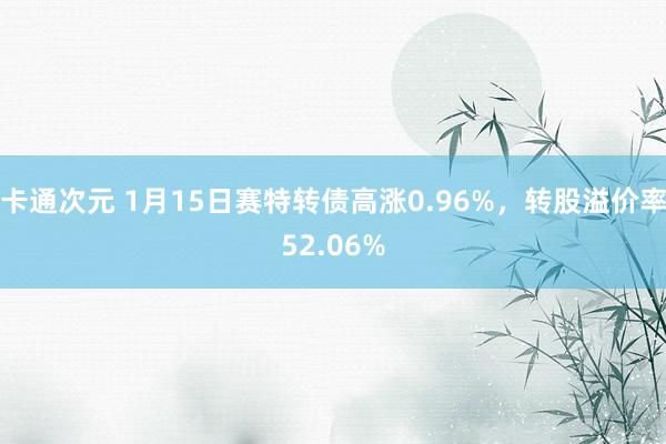 卡通次元 1月15日赛特转债高涨0.96%，转股溢价率52.06%