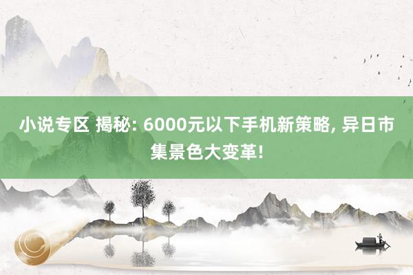 小说专区 揭秘: 6000元以下手机新策略， 异日市集景色大变革!